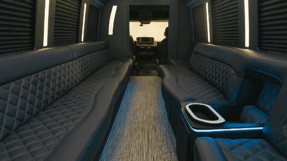 overland park 28 passenger party bus interior